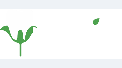 Стоматология «myGran» — ул. Гоголя, 21, Питкяранта